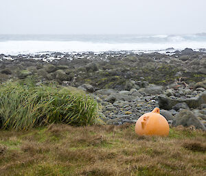 A marine buoy on the rocky seashore looking westerly