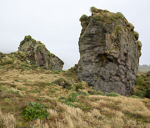 Rocky outcrops with regenerating Macquarie Island cabbage in the foreground