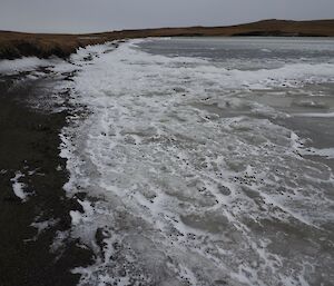Frozen shore of Island Lake