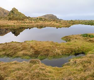 Reflections in a still pond