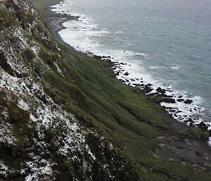 Many king penguins on the beach