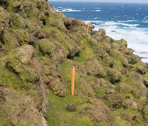 Sellick point site as taken in 2012 shows mossy covered cliff overlooking water