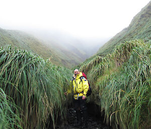 Expeditioner looks small amongst snow and grass tussocks.