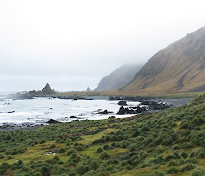 A coastline with rocks and grass