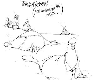 Cartoon of elephant seals