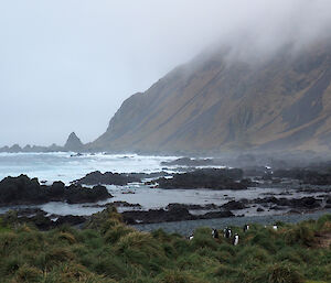 Photo of the coastline with the plateau rising up form the beach