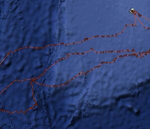 Model output showing elephant seal track.