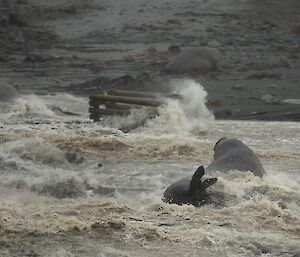 Beachmaster adrift in storm surge