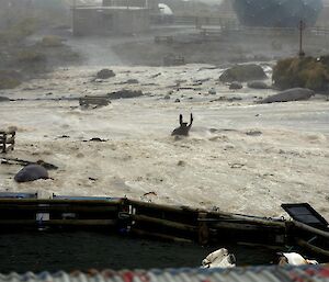 A row of cage pallets hold water out of the station compound