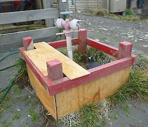 Plywood box built around a penguin nest