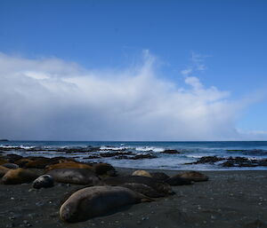 Cumulonimbus cloud heads out to sea after a short hail storm