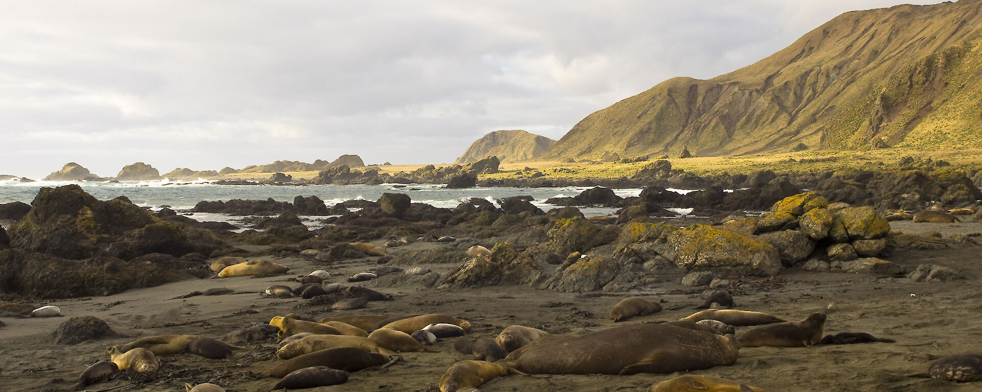 Panorama of Bauer Bay