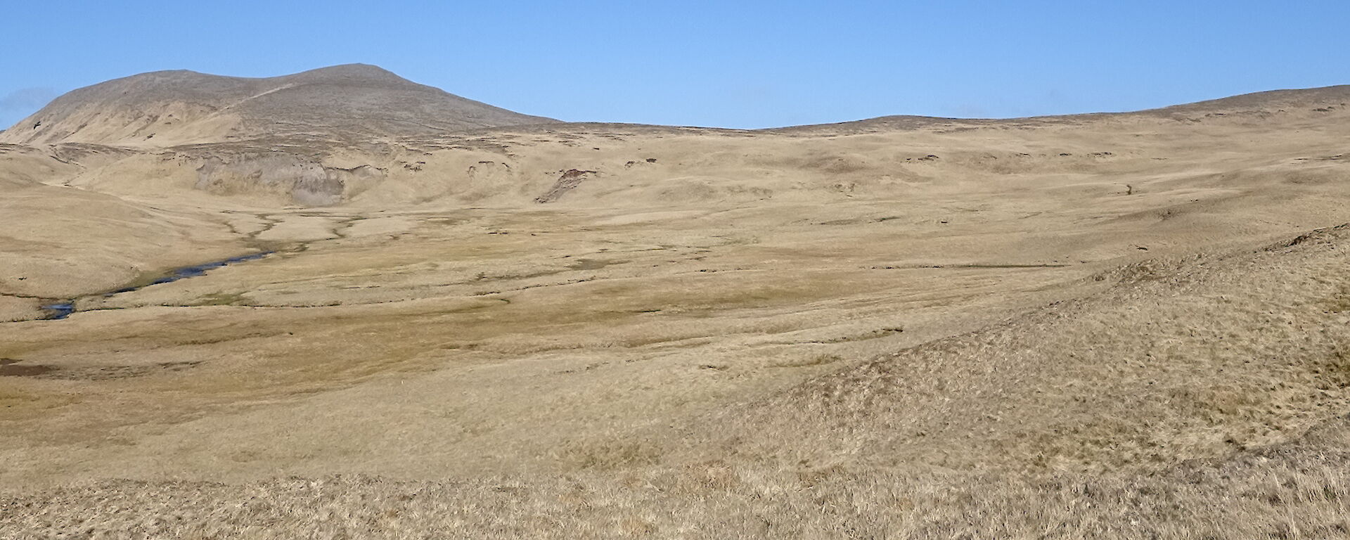 Rangers searching in sunshine on the plateau