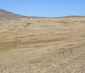 Rangers searching in sunshine on the plateau