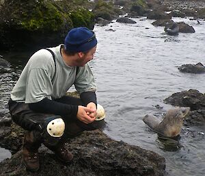 Jimmy kneeling down by a fur seal