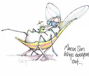 Cartoon of a blowfly in a deck chair sipping a drink