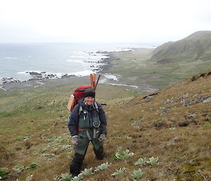 The collector, Melissa Houghton, with fully laden pack