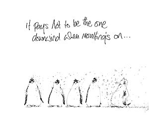 Cartoon of four penguins all moulting feathers being blown all on the fifth penguin
