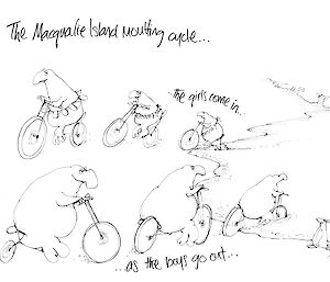 Cartoon of moulting elephant seals riding bicycles