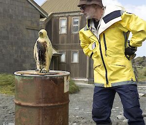 Doc in yellow jacket looking at margarine penguin