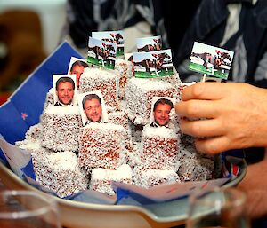 Plate of lamingtons