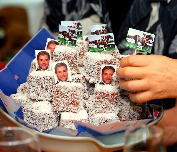 Plate of lamingtons