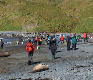 Tourists on the beach at Sandy Bay