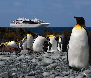 Ship Le Soleal at Sandy Bay