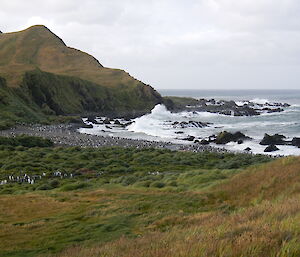 Stormy day at Green Gorge shows wild waves, penguins on the coast and clumps of tall grass