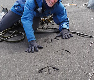 Marcus and giant petrel footprints