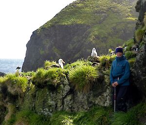 Kim with black-browed albatross and chick at Waterfall Bay