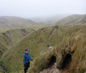 Kim with light-mantled albatross at Sawyer Creek