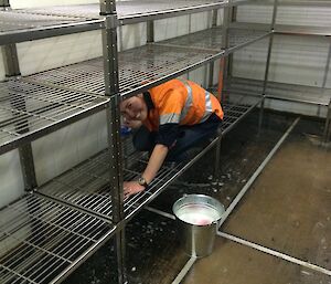 Jane cleaning the fridge