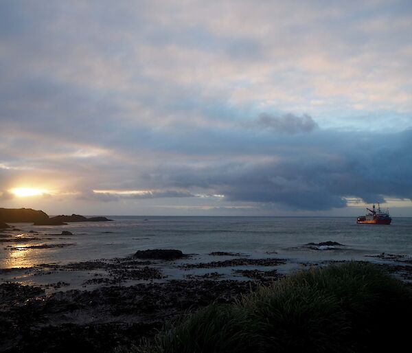 L'Astrolabe on the bay as the sun rises over North Head.