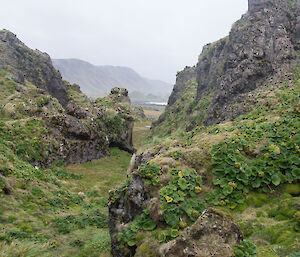 Looking along a gap through a rock labyrinth