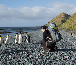 Expeditioner crouching on rocky beach, watching a nearby group of king penguins