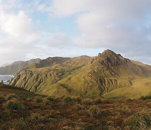 Landscape shot looking north from the most southern peak on Macquarie Island — ocean can be seen on the left