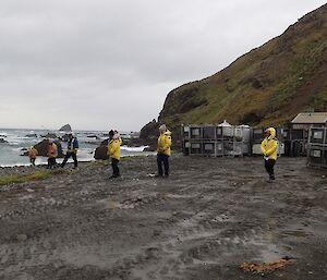 A line of people on the beach about to search ahead of them