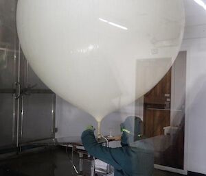 A man is on his knees tying the sonde on to a large balloon