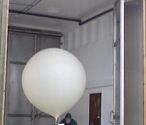 A man is exiting the balloon shed withe a large white balloon