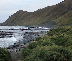 View of the beach with a boat returning to shore, watched over by penguins