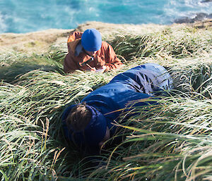 2 people lying on the grass reaching down to search for burrows