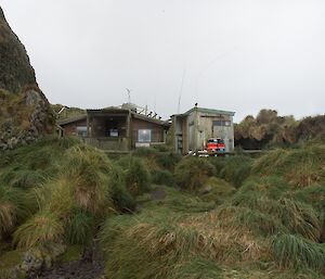 A picture of a little wooden hut in among the tussock — this is Green Gorge hut