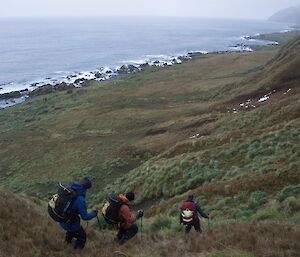 3 people descend a steep slope to the coast