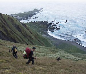 3 people descending a steep slope to the coast