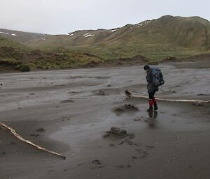 A lady stands on the beach between two pieces of washed up wood.