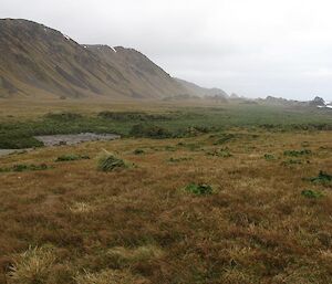 Coastal shot over the featherbed looking south