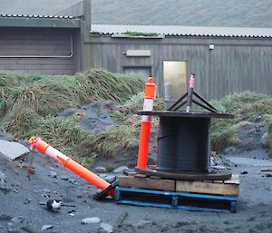 The bird on the ground next to a wooden pallet with a drum of cable on it for scale