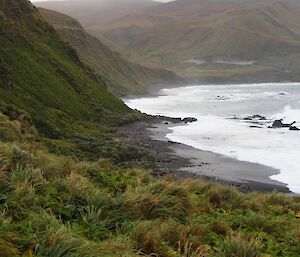 A view of Sandy Bay at high tide