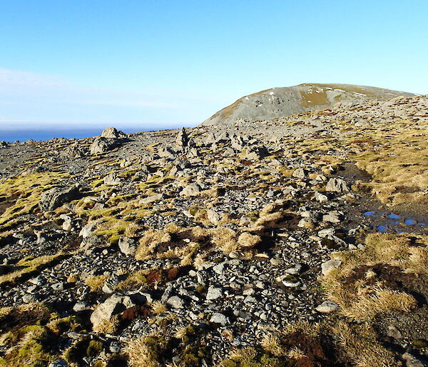 Weathered rock formations south east of the OLT looking towards Mt Elder